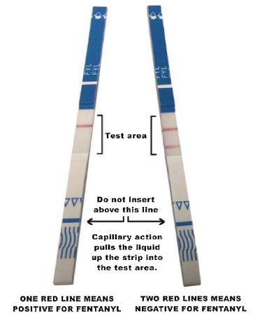 Support don't punish South Africa - introducing fentanyl test strips
