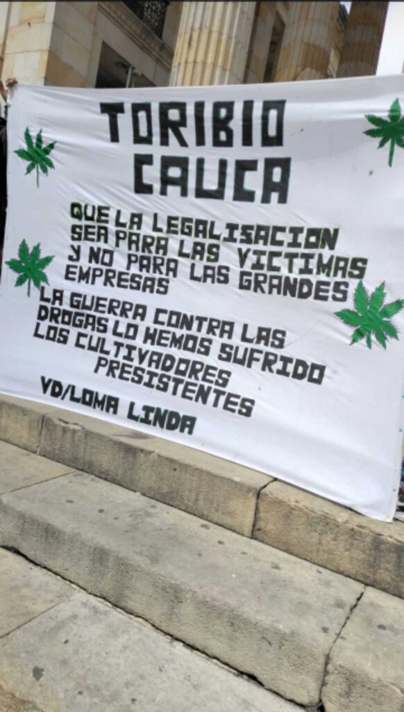 Colombia and cannabis: A historical debate that redefines the future