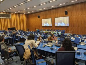 Day 2 of the Paradigma Coalition at the CND