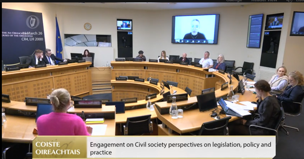 From the Citizens' Assembly to the Committee Room: representing Youth RISE in Ireland's drug policy reform