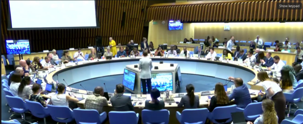 YouthRISE at the 58th UNAIDS PCB Meeting